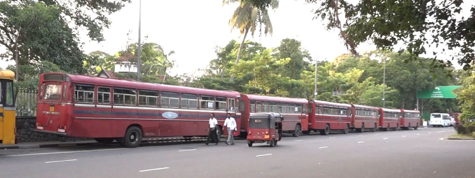 Special Transport Services For Voters